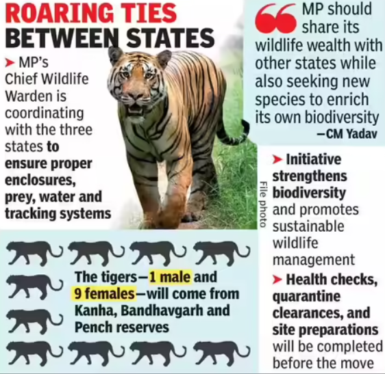 MP to Relocate Tigers